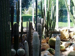 Jardin botanique au mois d'août à Genève