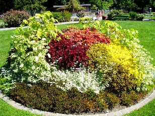 Jardin botanique au mois d'août à Genève