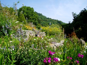 Jardin botanique au mois d'août à Neuchâtel