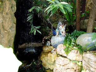 Jardin botanique au mois d'août à Neuchâtel