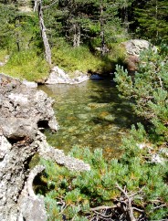 Magie et Beauté de la Nature au Pont d'Espagne !