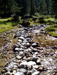 Magie et Beauté de la Nature au Pont d'Espagne !